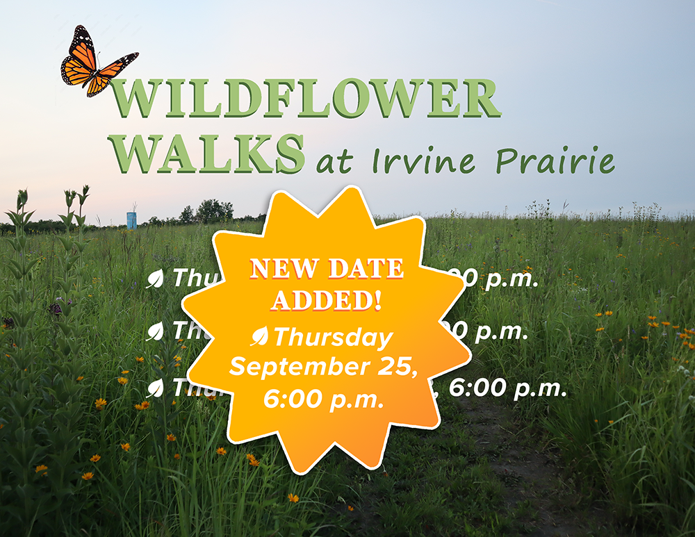 Updated Wildflower Walk poster advertising the new date added for the walks
