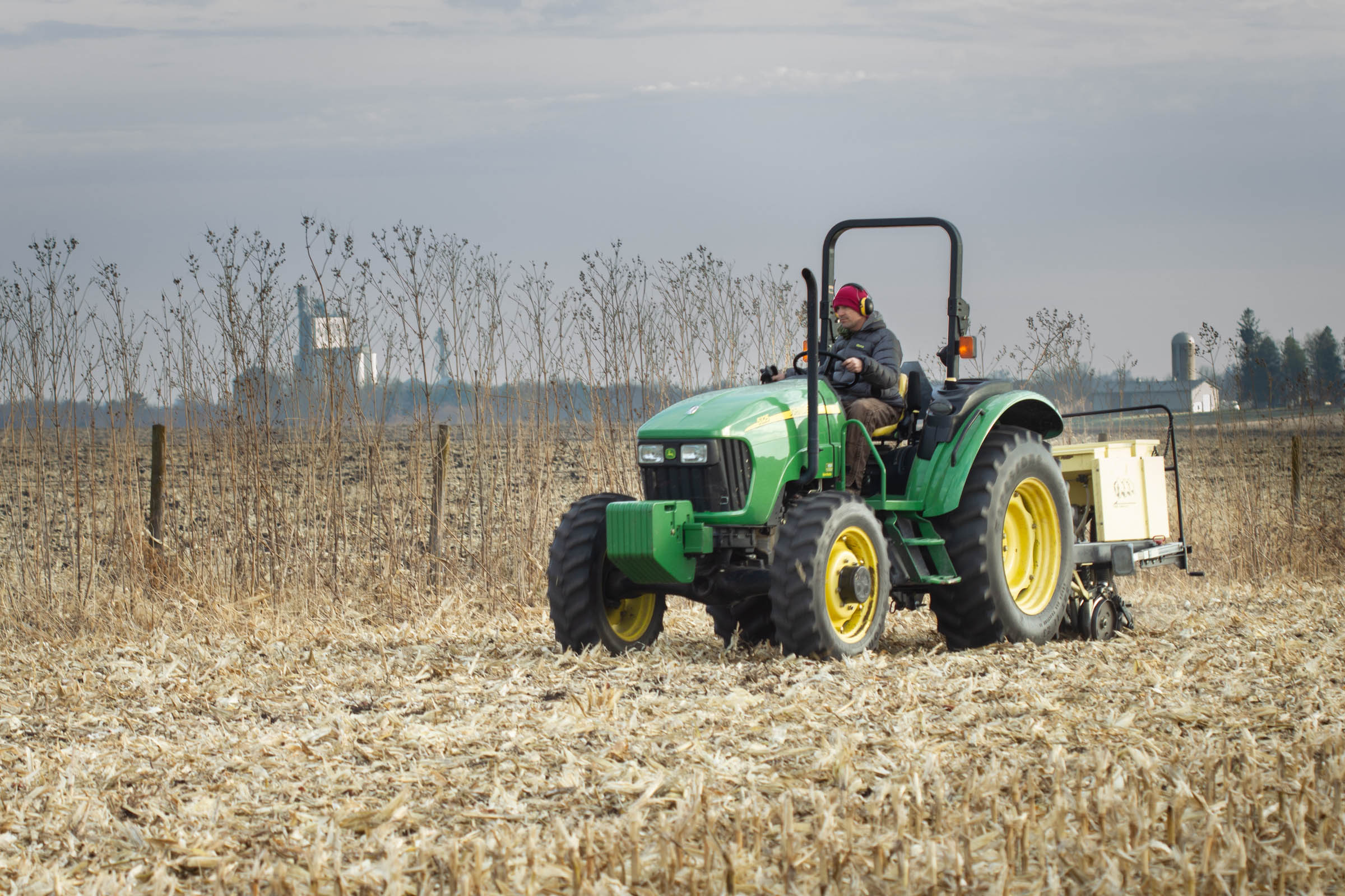 Drill seeding in the fall 