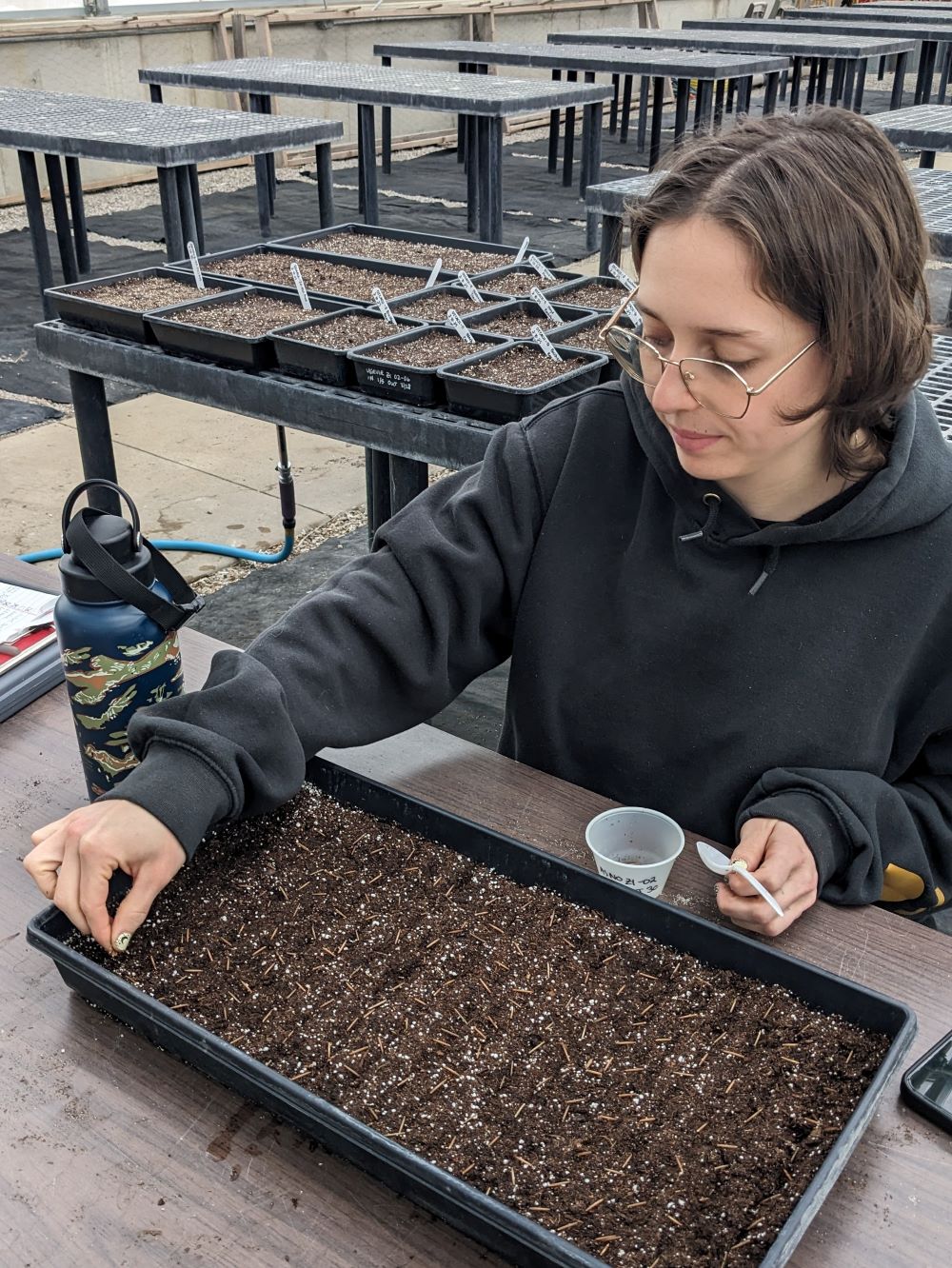 Addie working in the greenhouse