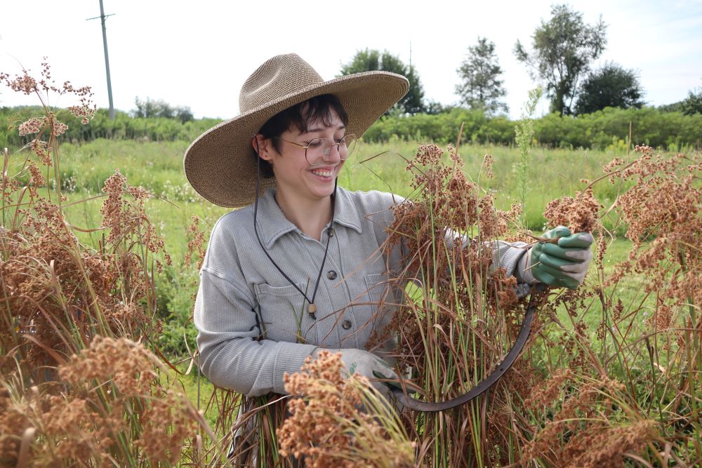 Addison working in the field 