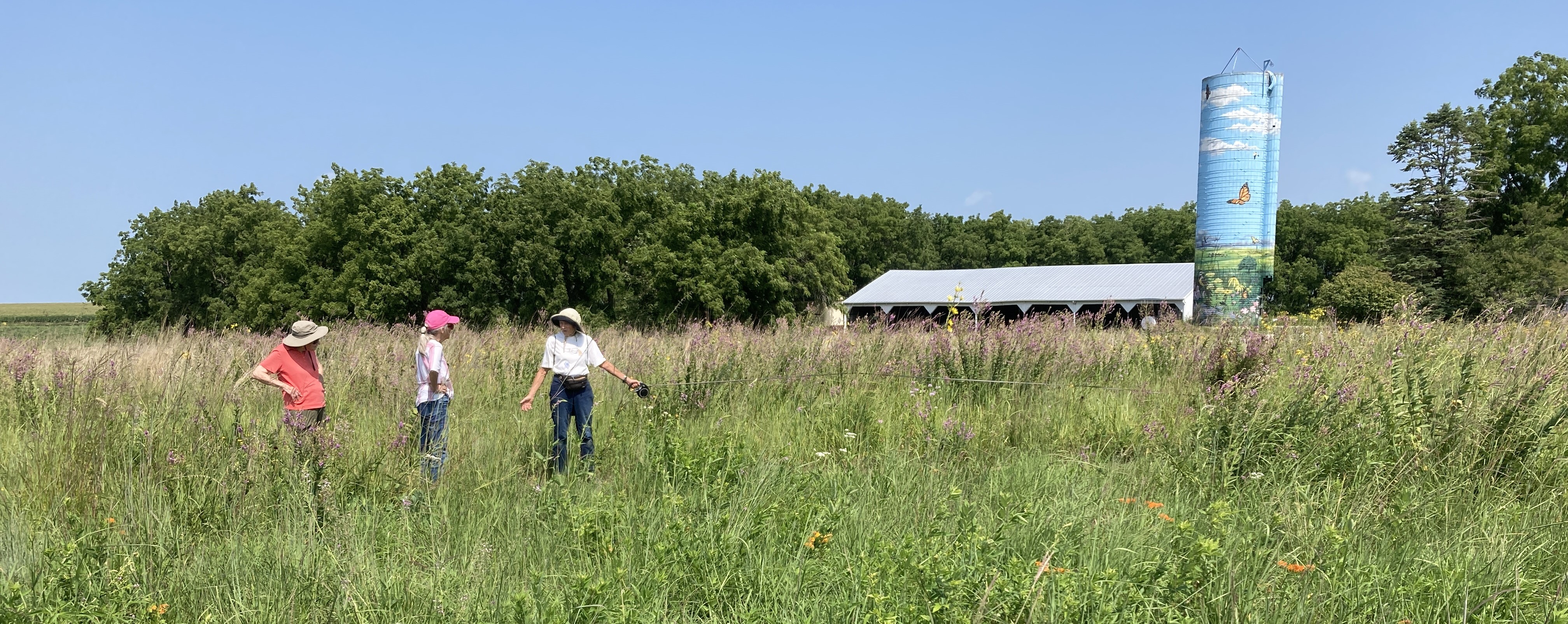 Individuals on a walk in a prairie 