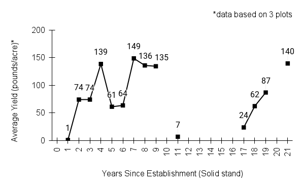 big bluestem (Andropogon gerardii) yield graph