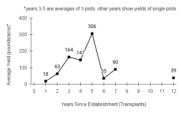 Anemone canadensis (Canadian anemone) yield graph