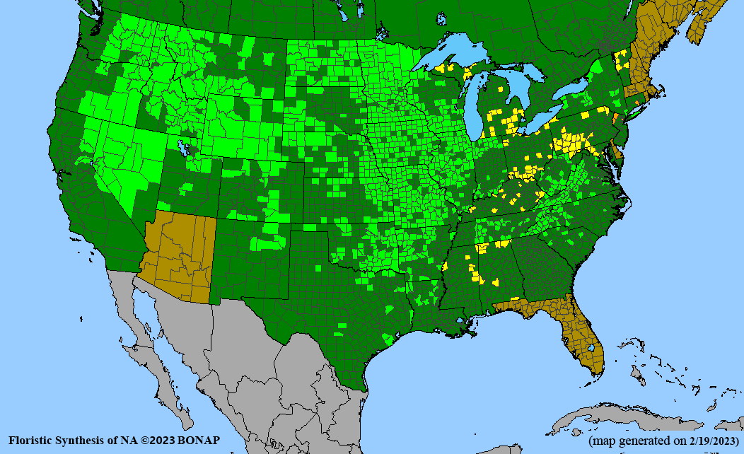 A map of county-level distribution of Canadian milkvetch in the contiguous 48 states