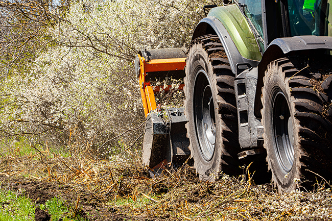 A tractor with large wheels and a forestry head attached to the front works on removing brush from a roadside.