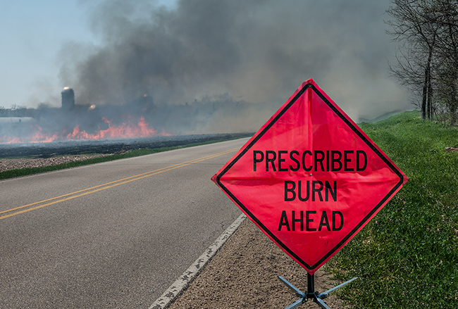 An orange sign in the roadside reading "Prescribed Burn Ahead" while the flames and smoke of a controlled burn are seen in the background.