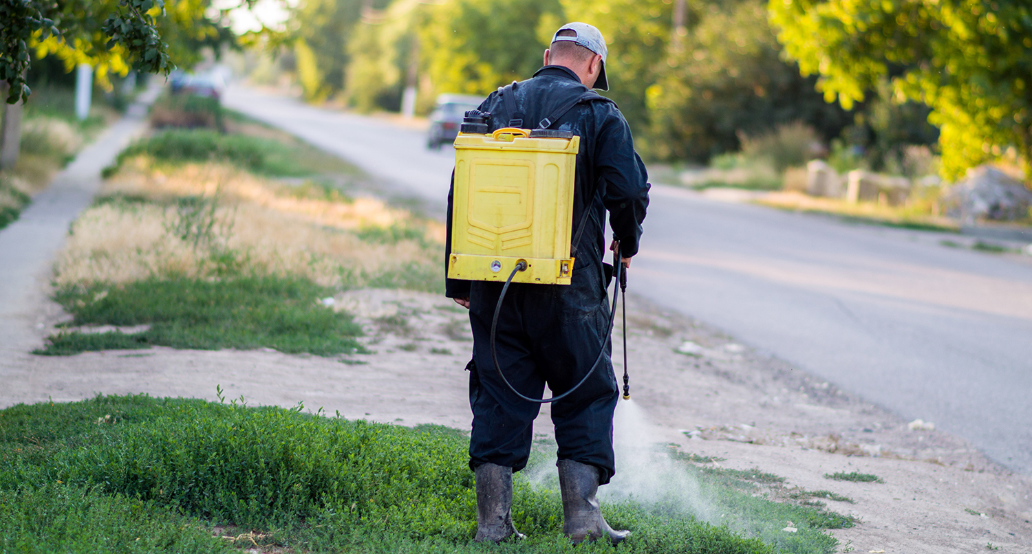 A roadside staff member sprays herbicide in a roadside using a backpack sprayer.