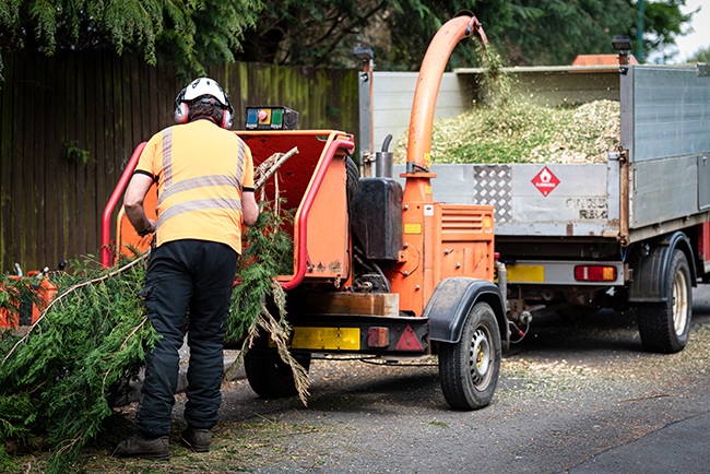 A roadside staff member loads a tree branch into a wood chipper, with the resulting mulch being emptied into the back of a truck.