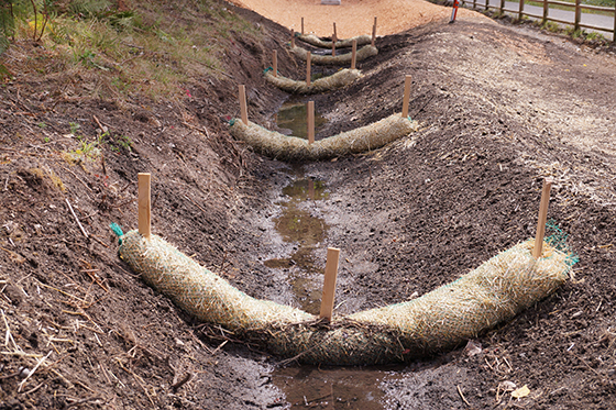 A line of wattles set up in a wet area of a roadside.