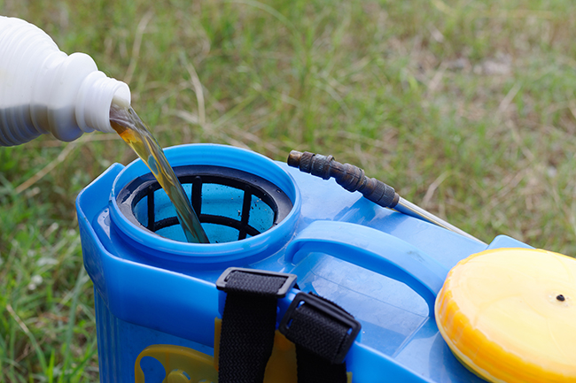 A dark-colored liquid is poured into a small water tank used for applying herbicide.