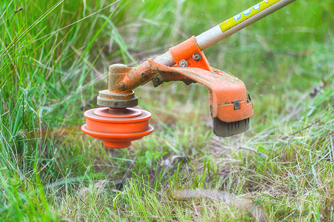 An orange brush cutter trims green vegetation.