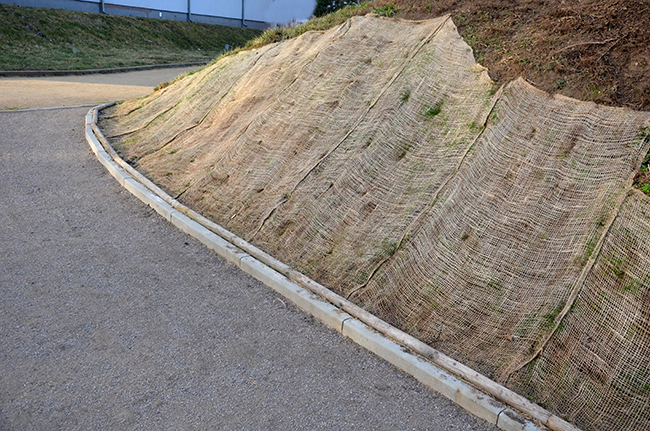 An erosion control blanket on a steep slope in a roadside.