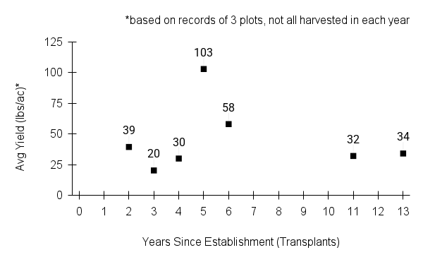 Baptisia alba (white wild indigo) yield graph
