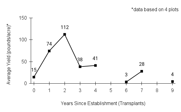 Bicknell's sedge yield graph