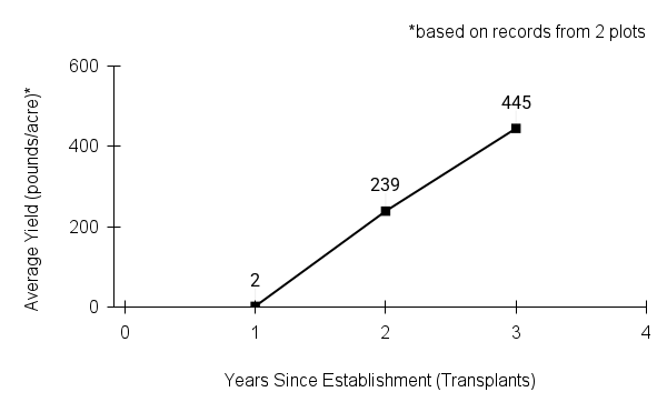 Carex hystericina (bottlebrush sedge) yield graph