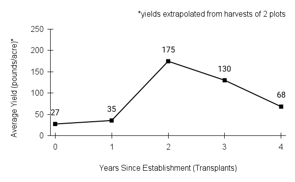 Dalea purpurea (purple prairie clover) yield graph