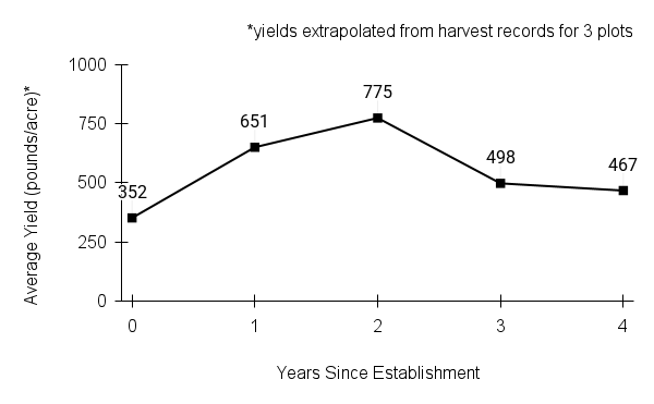 Elymus virginicus (Virginia wild rye) yield graph