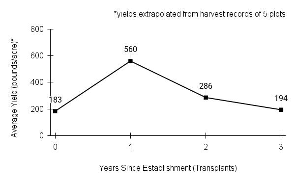 Eryngium yuccifolium (button eryngo) yield graph