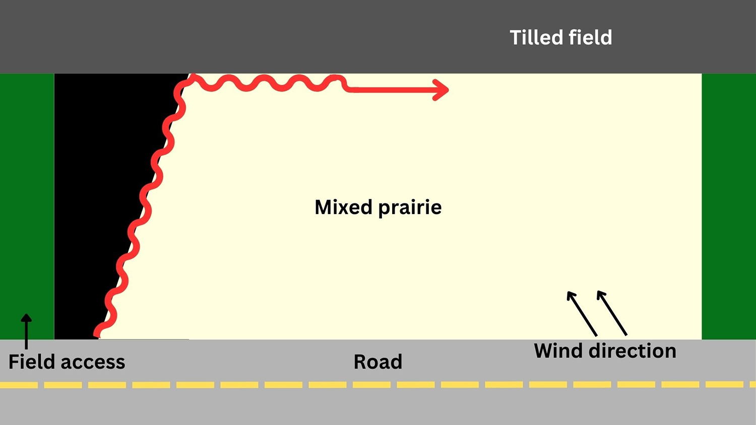 A figure showing an overhead view of a burn site showing continuing ignition along the fire line.