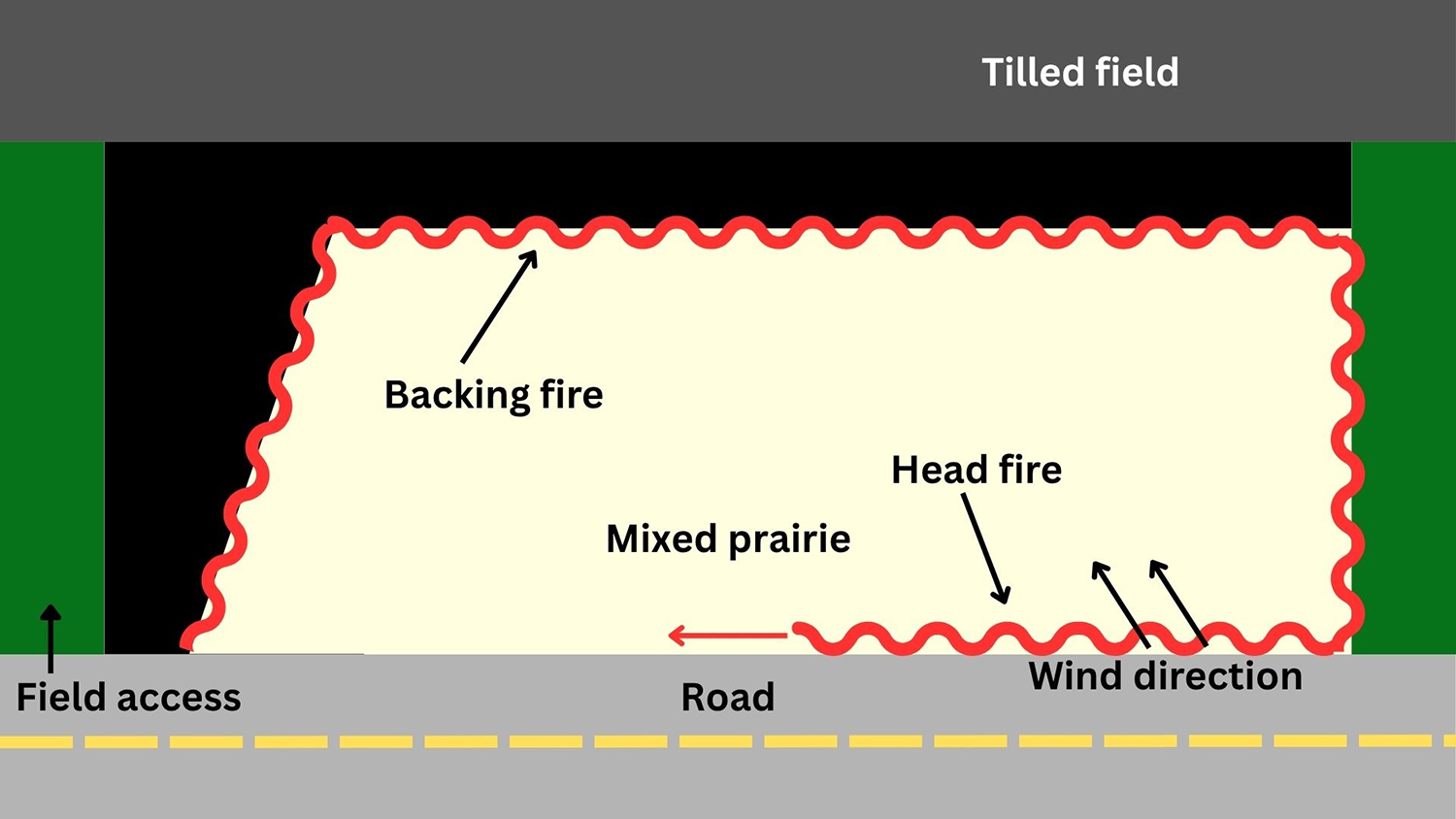 A figure showing an overhead view of a burn site showing the establishment of a backing fire and a head fire.