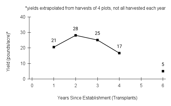 Gentiana andrewsii (closed bottle gentian) yield graph