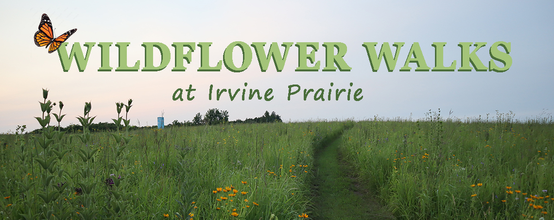 Irvine prairie trail