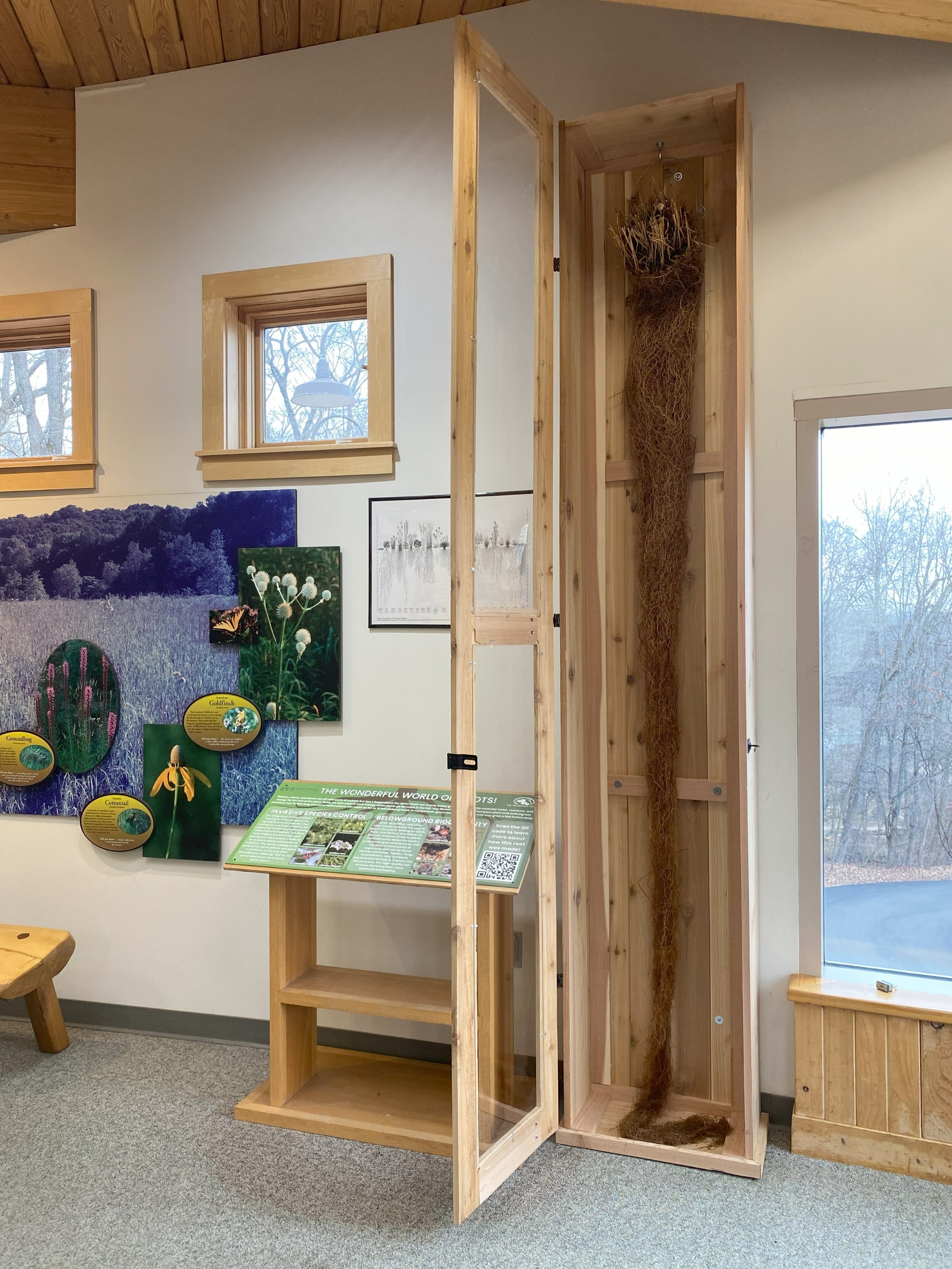 Prairie Root Display