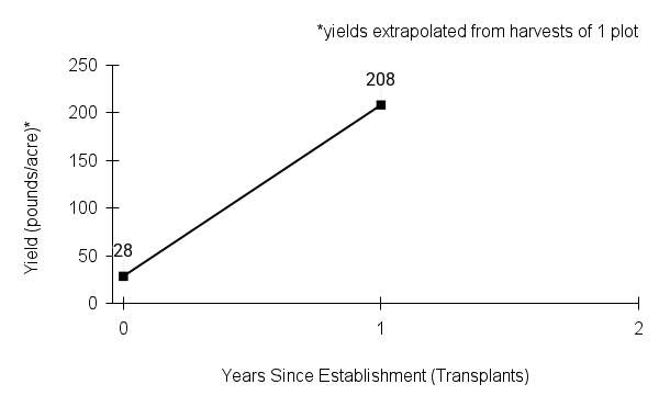Juncus dudleyi (Dudley's rush) yield graph