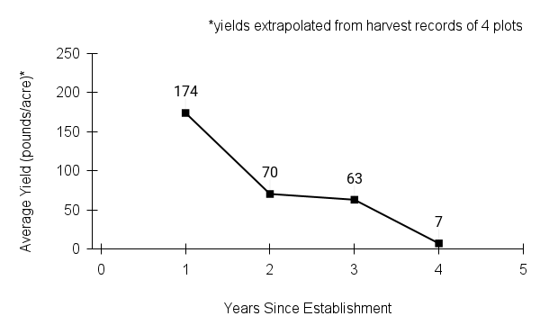 Koeleria macrantha (prairie Junegrass) yield graph