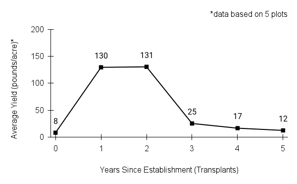 tall blazing star yield graph