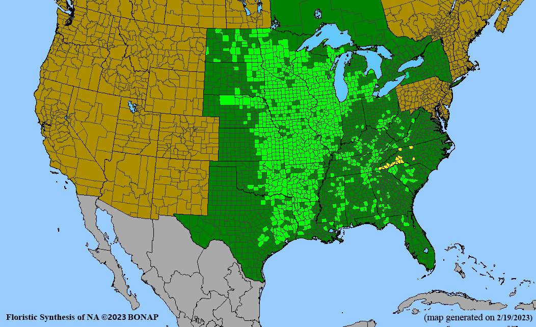 tall blazing star BONAP map