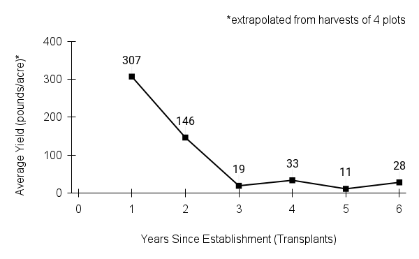 Liatris pycnostachya (prairie blazing star) yield graph