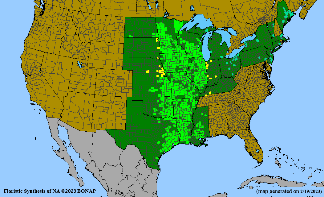 prairie blazing star BONAP map