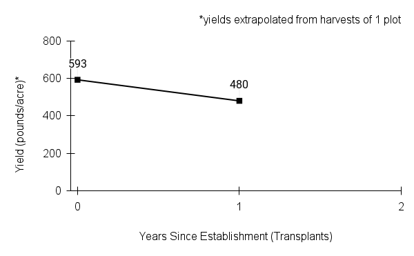 Lycopus americanus (American water horehound) yield graph