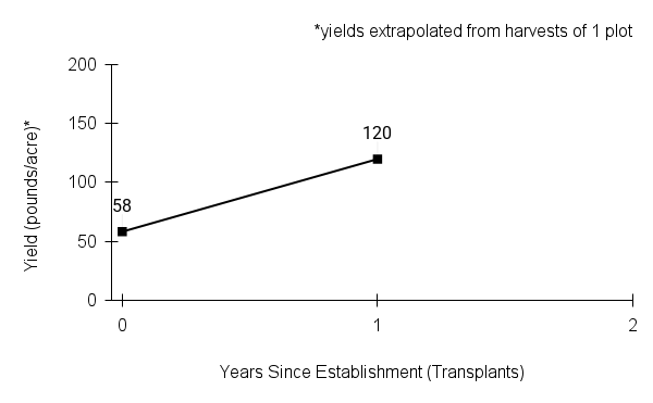 Lysimachia quadriflora (fourflower yellow loosestrife) yield graph