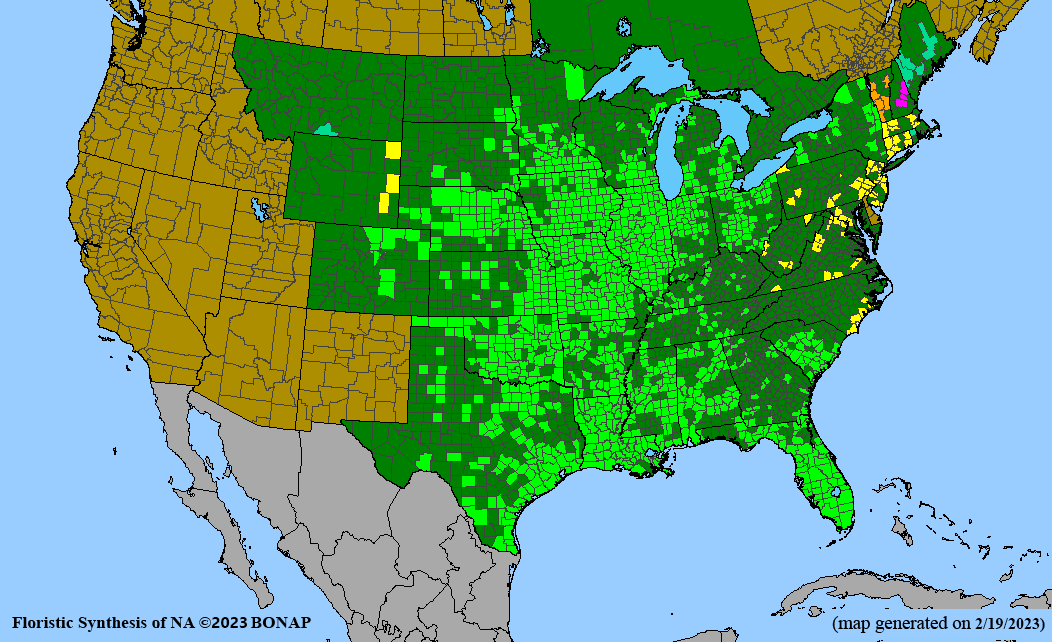Lythrum alatum (winged lythrum) BONAP map