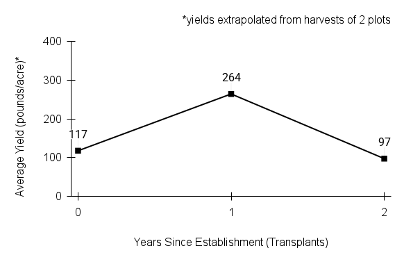 Monarda punctata (spotted beebalm) yield graph