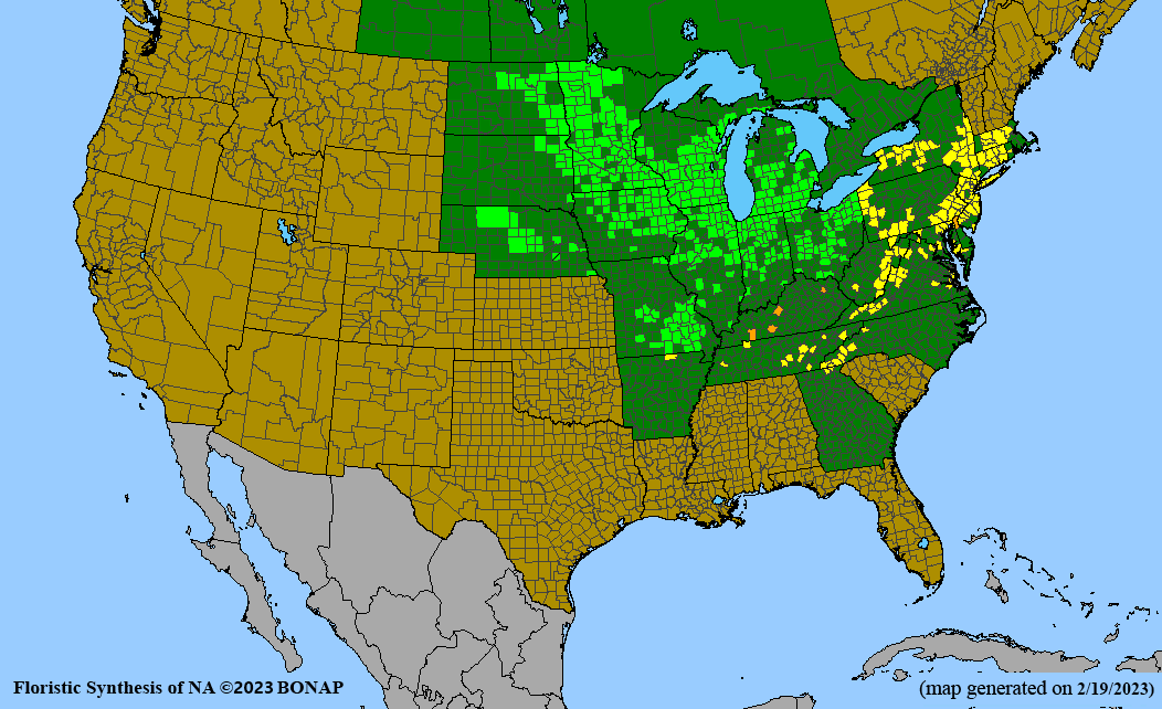 swamp lousewort BONAP map