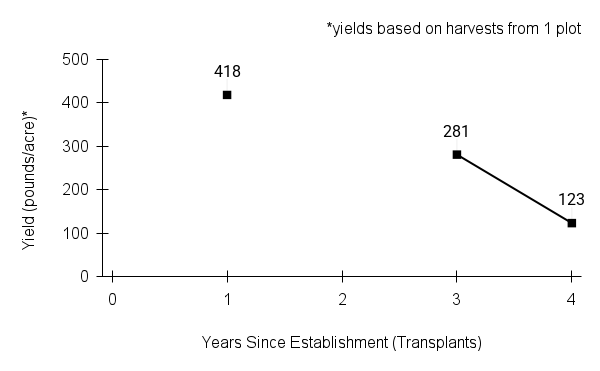 Pycnanthemum tenuifolium (narrowleaf mountainmint) yield graph