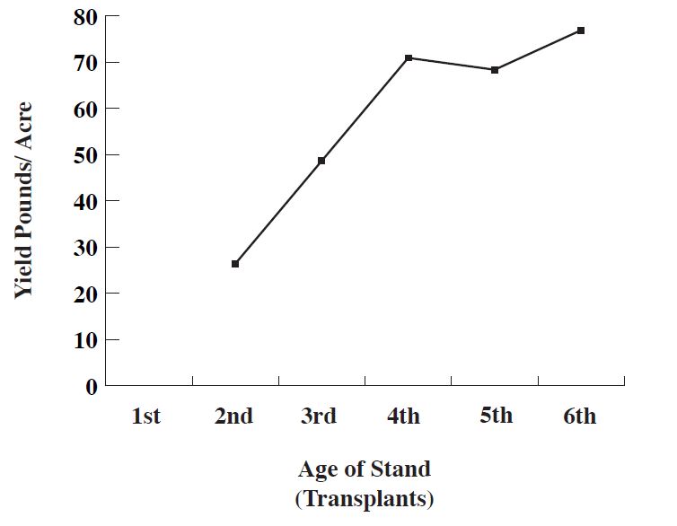 Pycnanthemum virginianum (Virginia mountain mint) yield graph