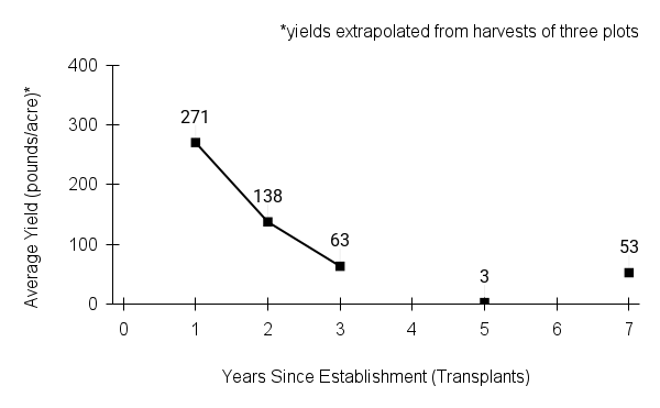 Ratibida pinnata (pinnate prairie coneflower) yield graph