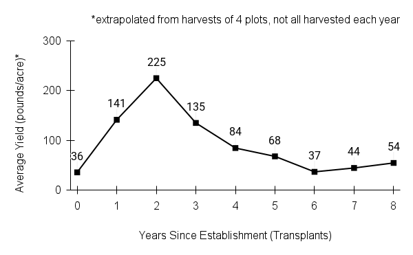 Rudbeckia subtomentosa (sweet coneflower) yield graph