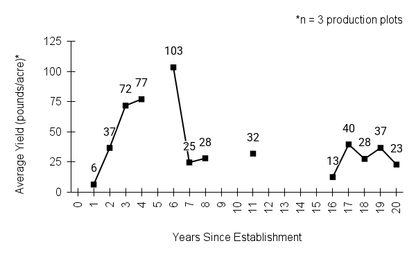 Schizachyrium scoparium (little bluestem) yield graph