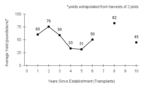 Silphium laciniatum (compass plant) yield graph