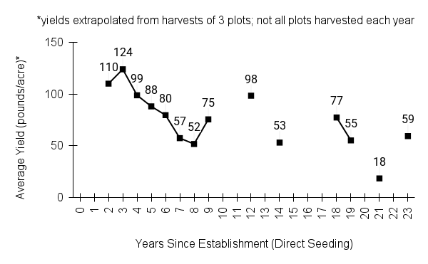 Sorghastrum nutans (Indiangrass) yield graph