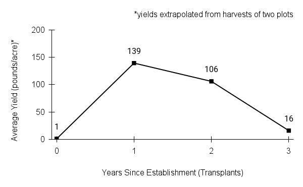 Tradescantia bracteata (longbract spiderwort) yield graph