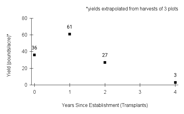 Veronicastrum virginicum (culvers root) yield graph