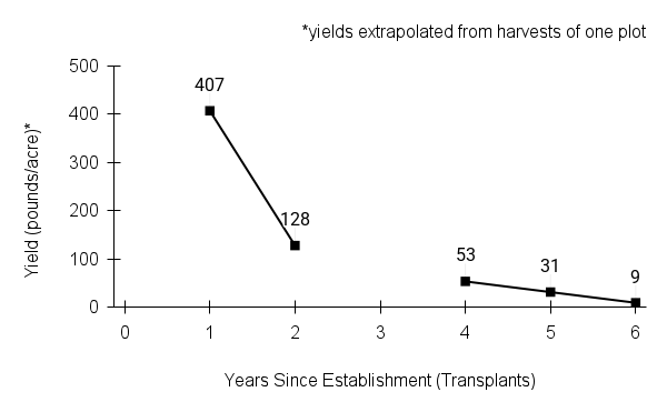 Zizia aptera (meadow zizia) yield graph
