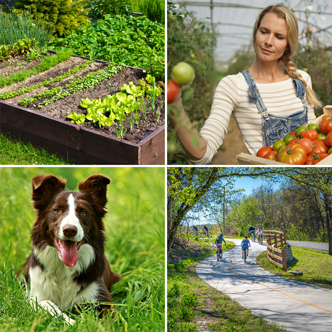 A quadrant containing photos of a garden with green vegetation, an organic farmer picking tomatoes, a brown-and-white dog laying in the grass, and people riding bicycles on a recreational trail.