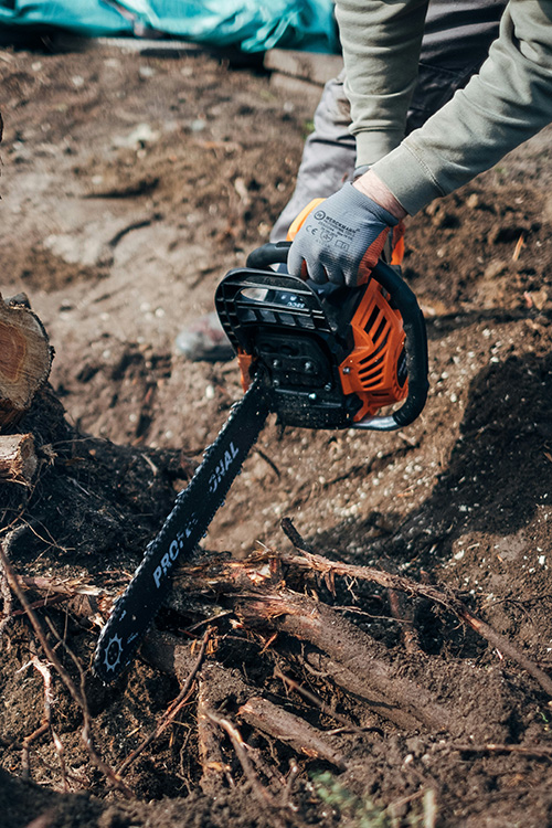 A person is seen holding a chainsaw and cutting some small branches.